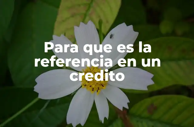 Para que es la Referencia en un Credito