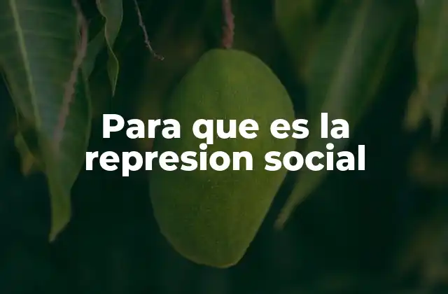 Para que es la Represion Social