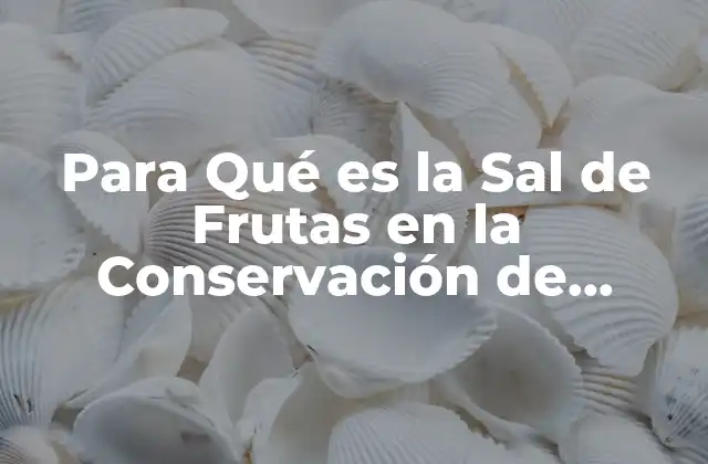 Para Qué es la Sal de Frutas en la Conservación de Alimentos