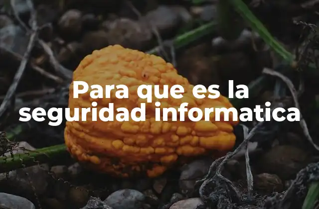 Para que es la Seguridad Informatica