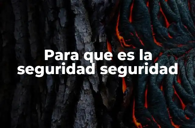 Para que es la Seguridad Seguridad