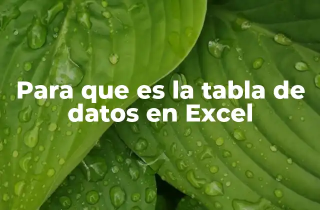 La importancia de estructurar datos en Excel