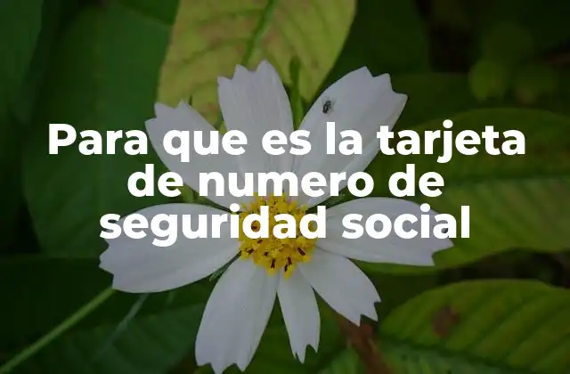 Para que es la Tarjeta de Numero de Seguridad Social