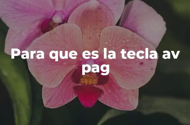 Para que es la Tecla Av Pag