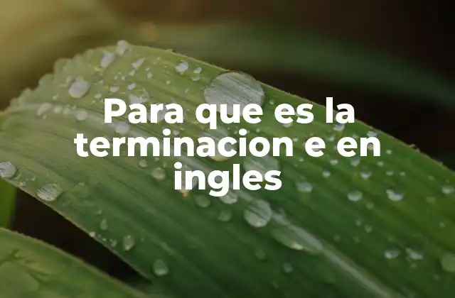 Para que es la Terminacion e en Ingles