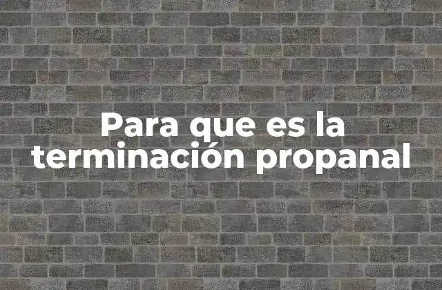 Para que es la Terminación Propanal