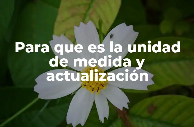 Para que es la Unidad de Medida y Actualización