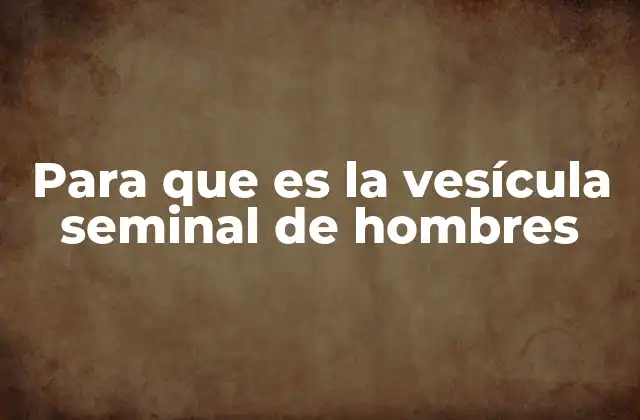 Para que es la Vesícula Seminal de Hombres 2 Funciones vitales del sistema reproductivo masculino