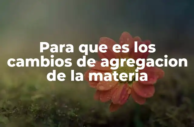 Para que es los Cambios de Agregacion de la Materia