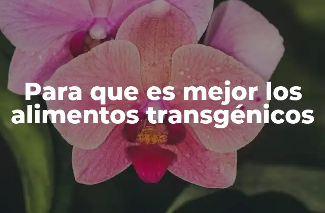 Para que es Mejor los Alimentos Transgénicos
