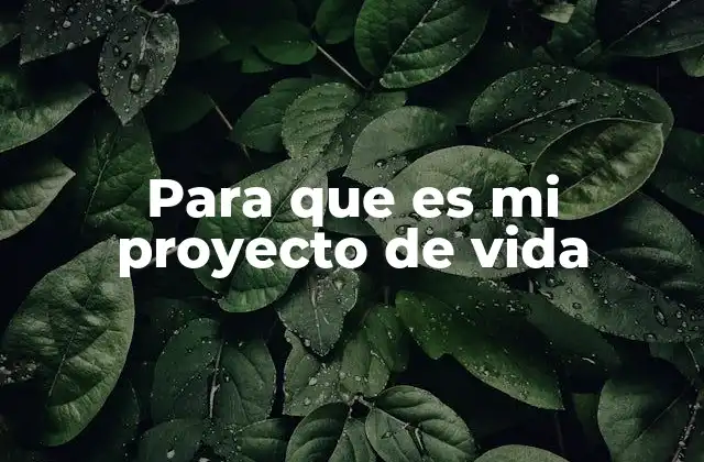 La importancia de tener un rumbo personal