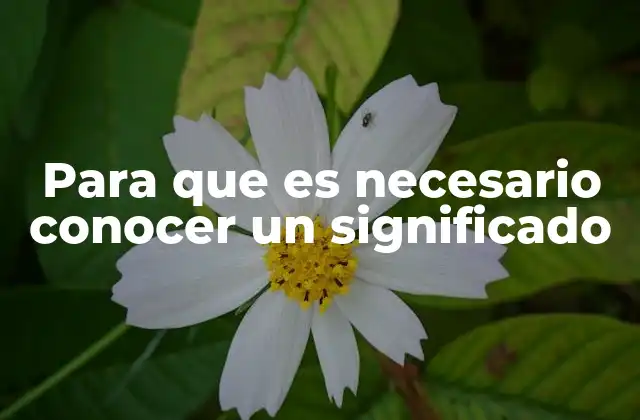 Para que es Necesario Conocer un Significado