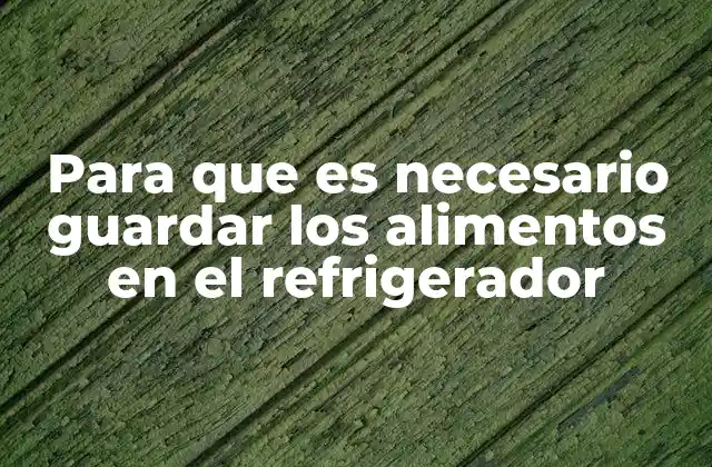 Para que es Necesario Guardar los Alimentos en el Refrigerador