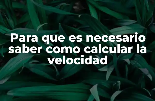 Para que es Necesario Saber como Calcular la Velocidad