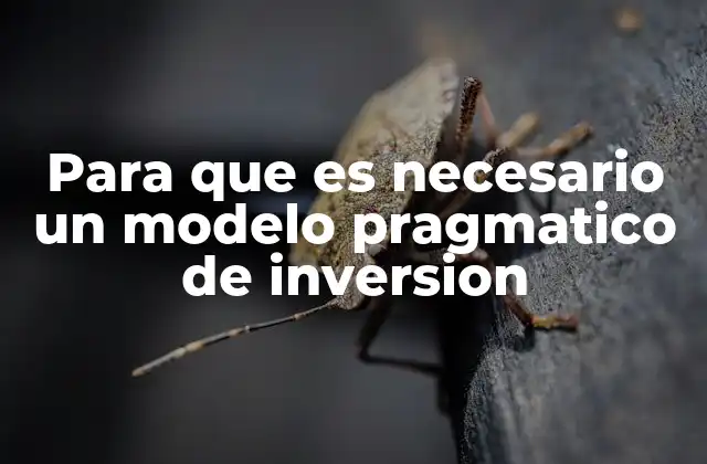 Para que es Necesario un Modelo Pragmatico de Inversion