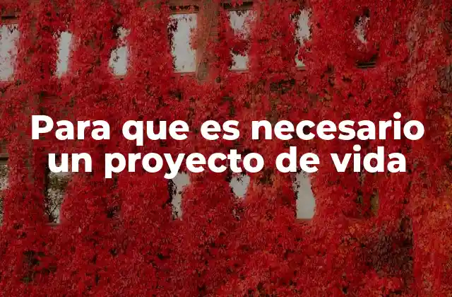 Para que es Necesario un Proyecto de Vida