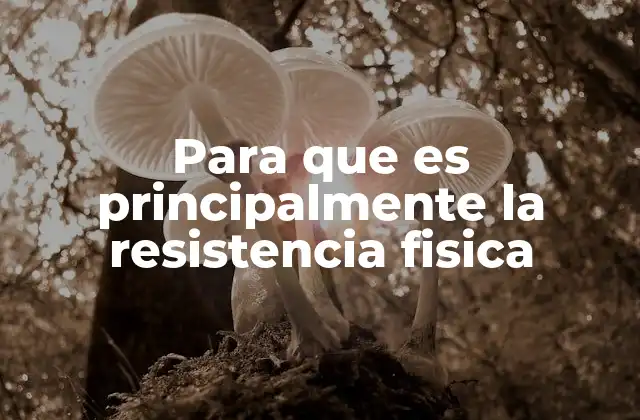 Para que es Principalmente la Resistencia Fisica