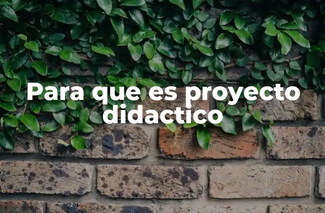 Para que es Proyecto Didactico