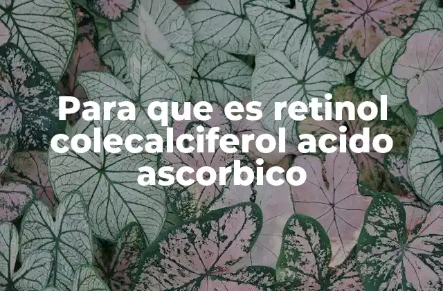 Para que es Retinol Colecalciferol Acido Ascorbico 2 La importancia de los nutrientes en la salud cutánea