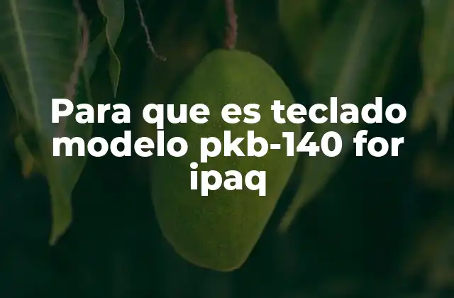 Para que es Teclado Modelo Pkb-140 For Ipaq