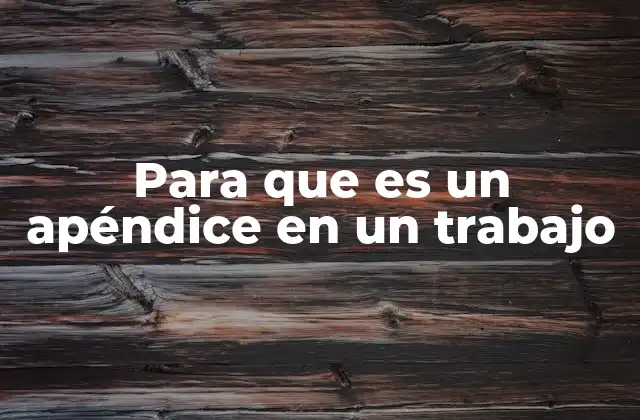 Para que es un Apéndice en un Trabajo