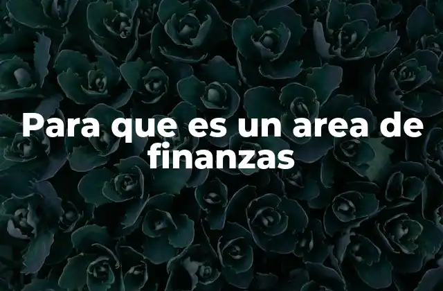 Para que es un Area de Finanzas