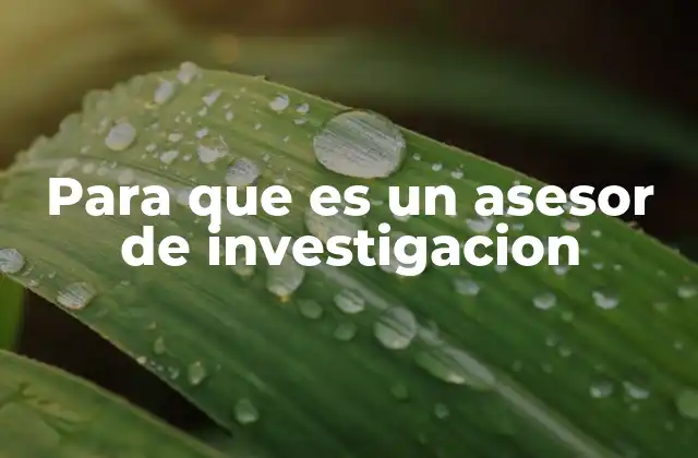 Para que es un Asesor de Investigacion