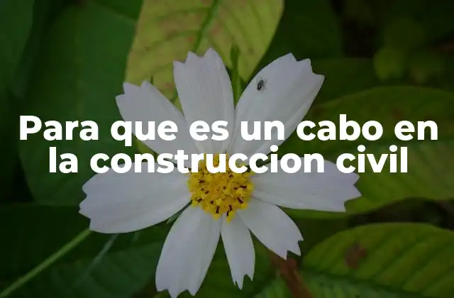 Para que es un Cabo en la Construccion Civil 2 Elementos clave en la estabilidad de estructuras temporales