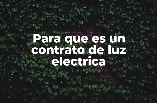 Para que es un Contrato de Luz Electrica