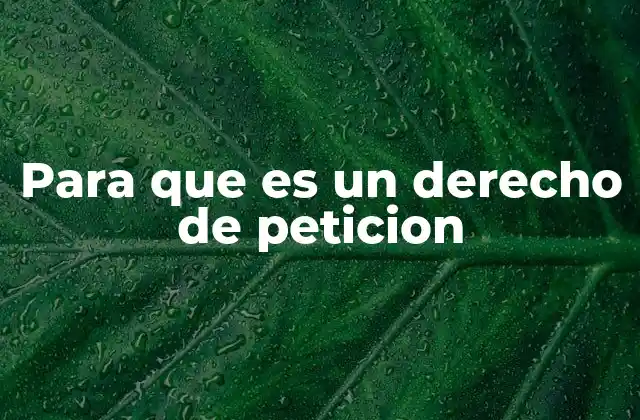 Para que es un Derecho de Peticion