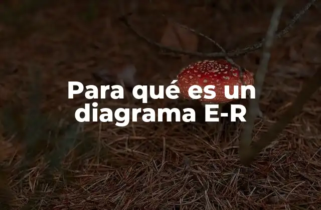 Para Qué es un Diagrama E-r