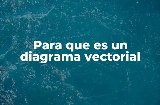 Para que es un Diagrama Vectorial