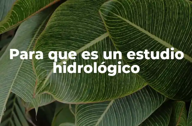 Para que es un Estudio Hidrológico