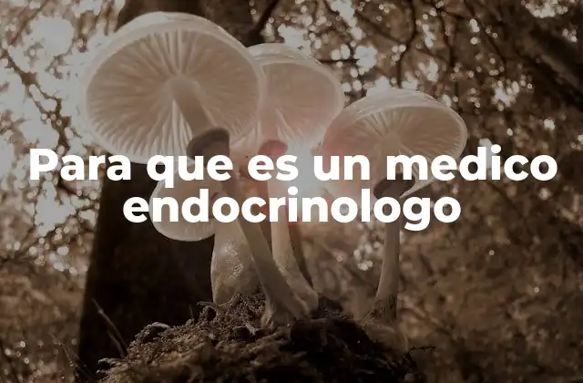 El rol del médico endocrinólogo en la salud pública