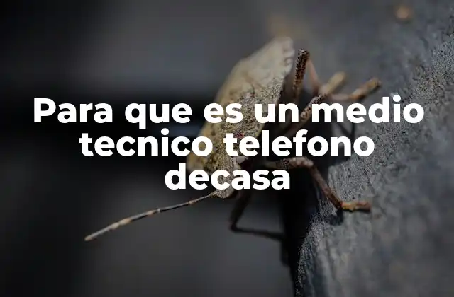 Para que es un Medio Tecnico Telefono Decasa