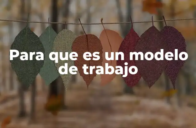 Para que es un Modelo de Trabajo