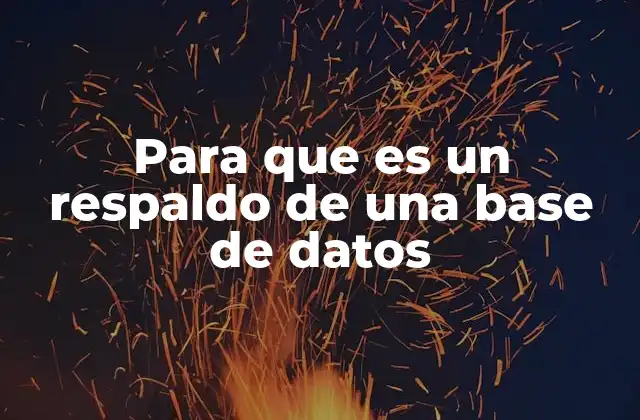 Para que es un Respaldo de una Base de Datos