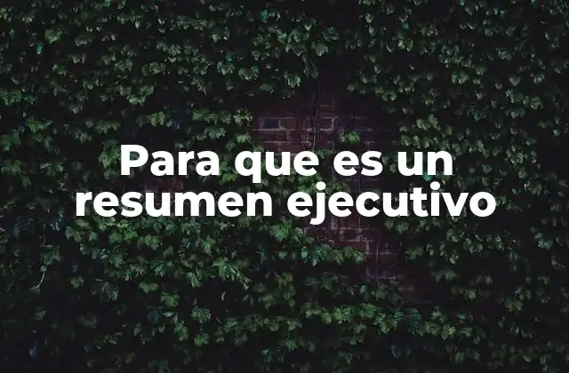 Para que es un Resumen Ejecutivo 2 El rol del resumen ejecutivo en la toma de decisiones empresariales