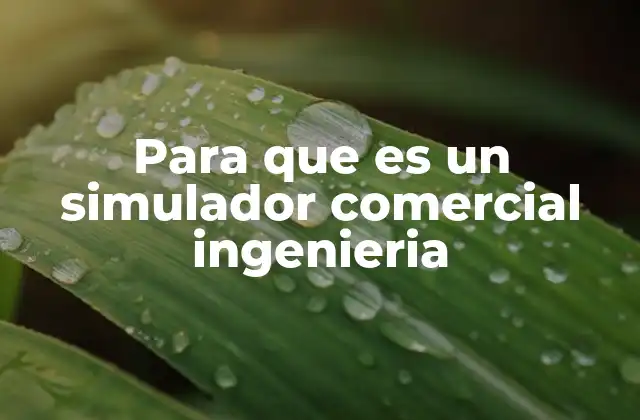 Para que es un Simulador Comercial Ingenieria