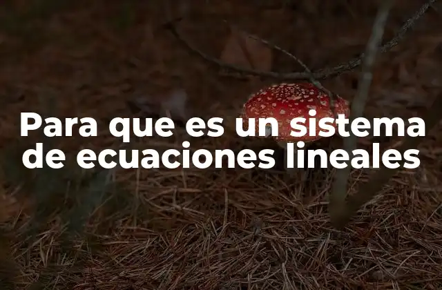 Para que es un Sistema de Ecuaciones Lineales
