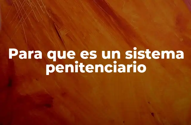 La función social del sistema penitenciario en el estado moderno