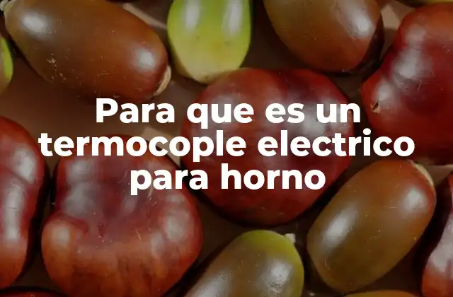 Para que es un Termocople Electrico para Horno
