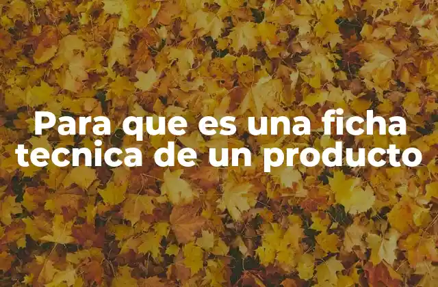 Para que es una Ficha Tecnica de un Producto 2 La importancia de la información detallada en un documento técnico