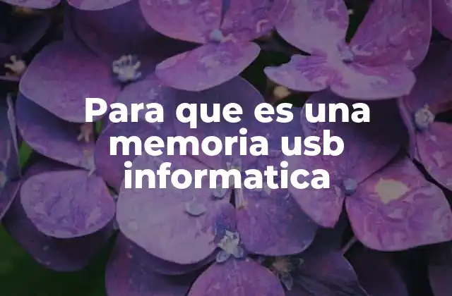 Para que es una Memoria Usb Informatica