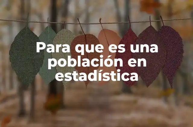 Para que es una Población en Estadística