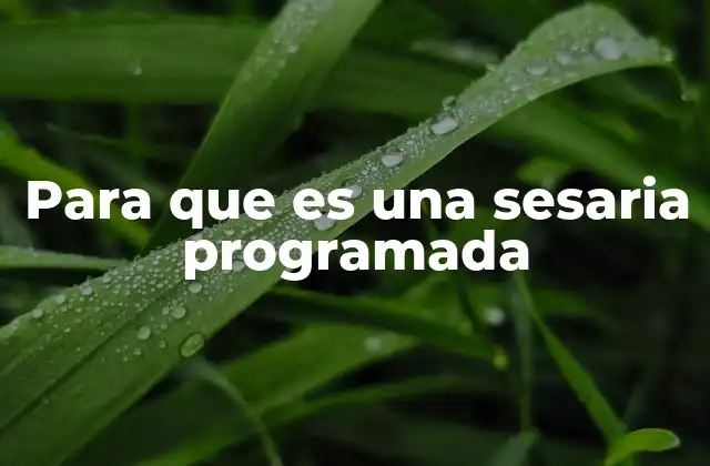 Para que es una Sesaria Programada