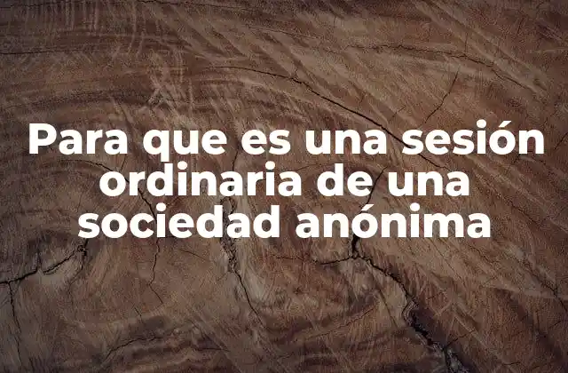 Para que es una Sesión Ordinaria de una Sociedad Anónima