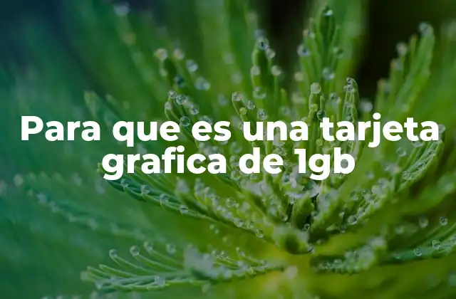 Para que es una Tarjeta Grafica de 1gb