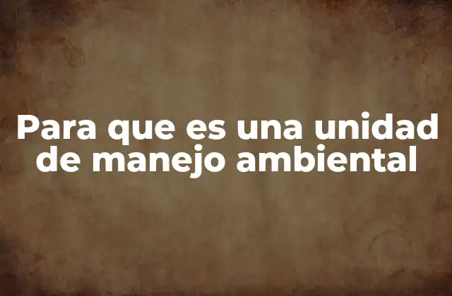 Para que es una Unidad de Manejo Ambiental