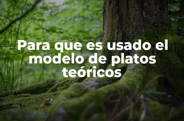 Para que es Usado el Modelo de Platos Teóricos 2 La importancia del modelo en la cromatografía moderna